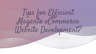 Tips for efficient Magento eCommerce Website Development?