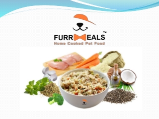 Furrmeals, Home cooked food for pets in Delhi