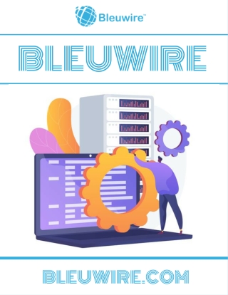 Bleuwire