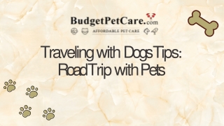 Traveling with Dogs Tips: Road Trip with Pets