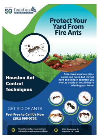 Pest Control Services Houston | Pest Removal Houston