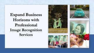 Expand Business Horizons with Professional Image Recognition Services
