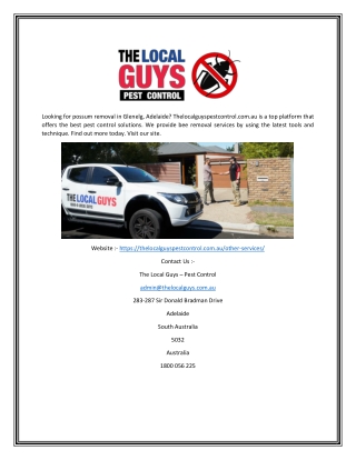 Possum Removal Adelaide | Thelocalguyspestcontrol.com.au