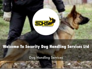 Detail Presentation About Security Dog Handling Services Ltd