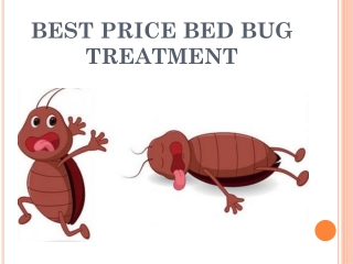 Skilled professionals of bed bug treatment Chicago