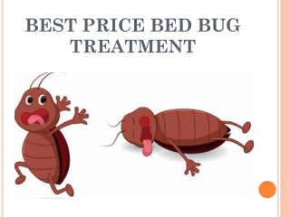 Skilled professionals of bed bug treatment Chicago