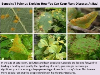 Benedict T Palen Jr. Explains How You Can Keep Plant-Diseases At Bay!