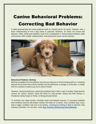 Canine Behavioral Problems: Correcting Bad Behavior