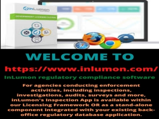 InLumon government licensing system