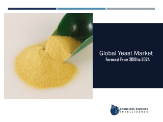 Segments Analysis on Global Yeast Market