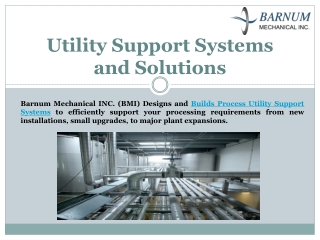 Process Utility Support Systems and Solutions - Barnummech USA