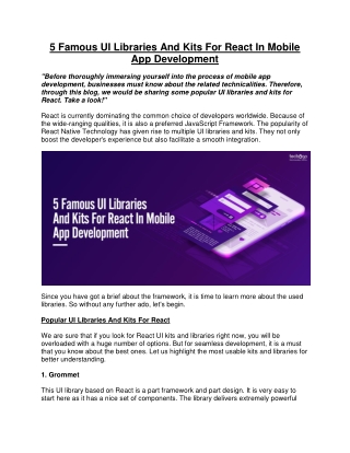 5 Famous UI Libraries And Kits For React In Mobile App Development