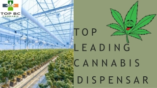 TOP LEADING CANNABIS DISPENSARY