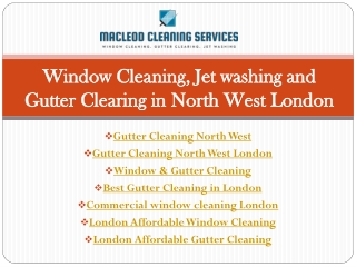 Window & Gutter Cleaning