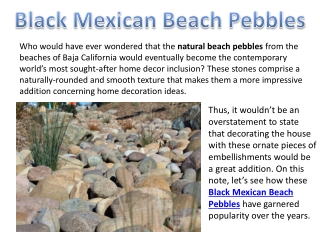 An Inclusive Guide to Understanding All Aspects of Black Mexican Pebbles