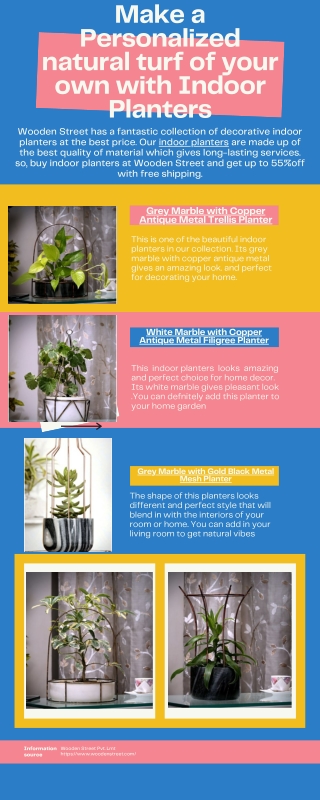 Get designer indoor plant pots at Wooden Street