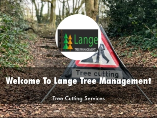Detail Presentation About Lange Tree Management