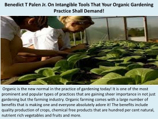 Benedict T Palen Jr. On Intangible Tools That Your Organic Gardening Practice Shall Demand!