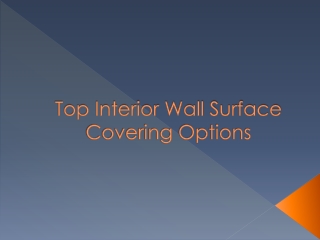 Top Interior Wall Surface Covering Options