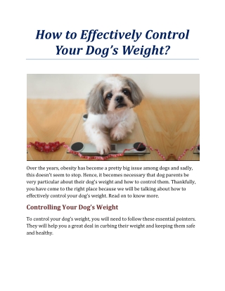 How to Effectively Control Your Dog’s Weight?