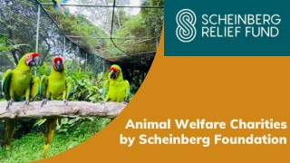 Animal Welfare Charities by Scheinberg Foundation