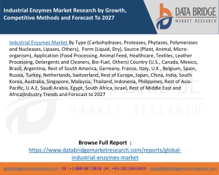 Industrial Enzymes Market Research by Growth, Competitive Methods and Forecast To 2027