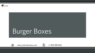 Buy Burger Boxes with free Shipping in USA