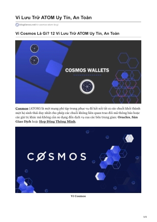 Ví Cosmos Là Gì? 12 Ví Lưu Trữ ATOM Uy Tín, An Toàn