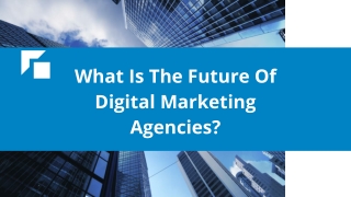 What Is The Future Of Digital Marketing Agencies?