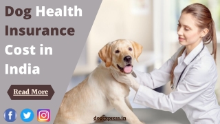 Dog Health Insurance Cost in India