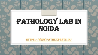 Pathology lab in Noida