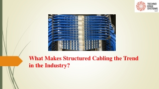 What Makes Structured Cabling the Trend in the Industry?