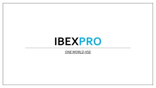 IbexPRO - One World HSE