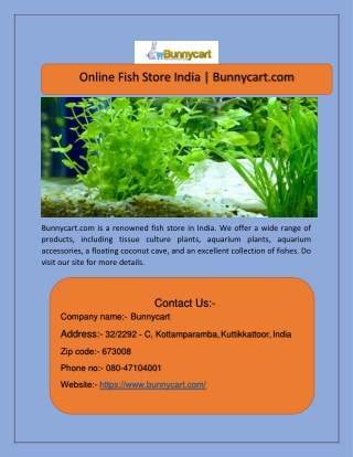 Online Fish Store India | Bunnycart.com