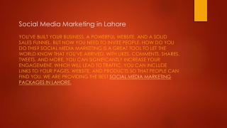 SEO Services in Lahore Pakistan