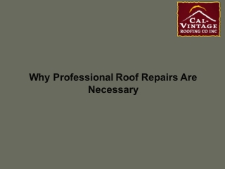 Why Professional Roof Repairs Are Necessary