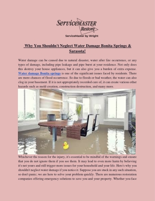 Why You Shouldn't Neglect Water Damage Bonita Springs & Sarasota!