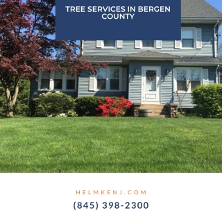 Tree Services in Bergen County