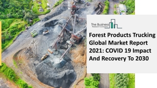 Global Forest Products Trucking Market Report 2021-2030 | Growth and Trends