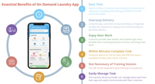 On Demand Laundry App Development Services