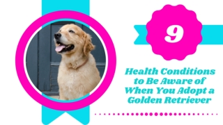 9 Health Conditions to Be Aware of When You Adopt a Golden Retriever 2021