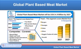 Plant Based Meat Market By Source, Companies, Forecast