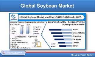 Soybean Market & Volume By Countries, Companies, Global Forecast