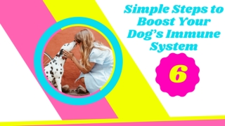 How to Boost Your Dog's Immune System Naturally A Helpful Guide ! Dog Health Tips ! Pet Care 2021