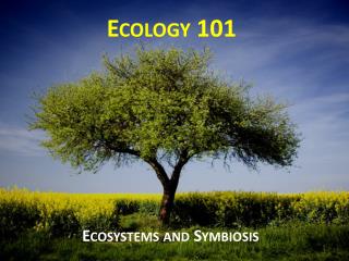 Ecology 101