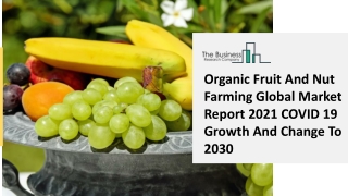 Global Organic Fruit And Nut Farming Market Overview And Top Key Players by 2030