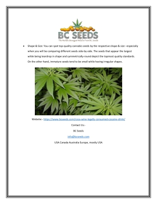 Coca Wine | Bcseeds.com