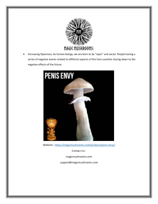 Penis Envy Spore Syringe | Magicmushrooms.com