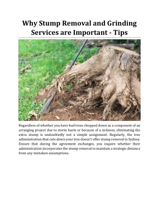 Why Stump Removal and Grinding Services are Important - Tips