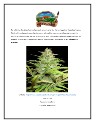 Ak47 Auto Seeds | Australianseedbank.com